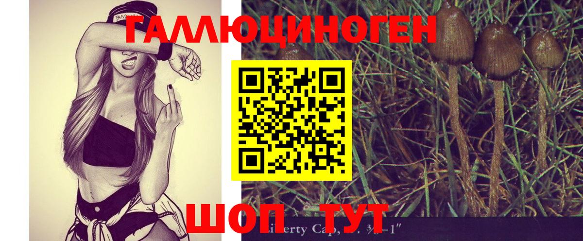Псилоцибиновые грибы Psilocybe  Вход с VPN  наркотики  Великие Луки 